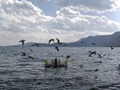 -滇池海埂公园