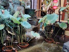 -汇景花园酒家(基立下道店)