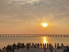 -宝安西湾红树林湿地公园