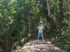 -紫金山山顶公园