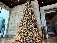 -金轩中餐厅 Jin Xuan(浦东丽思卡尔顿酒店)