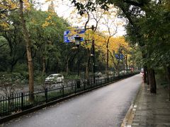 -杭州西湖风景名胜区-北街寻梦