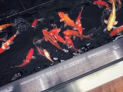 -奔驰利星行(北京花乡店)