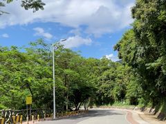 -梧桐山风景名胜区