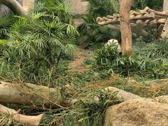 -石排湾郊野公园
