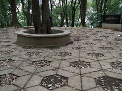 -马王堆汉墓遗址