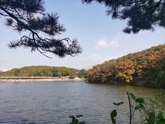 -童牛岭风景区