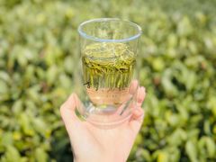 -香芙茗茶楼(梅家坞店)