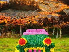 -九龙江国家森林公园