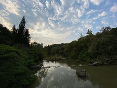 -云溪植物园