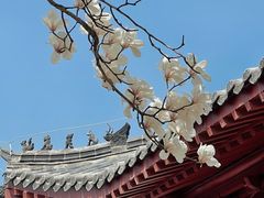 -云龙山