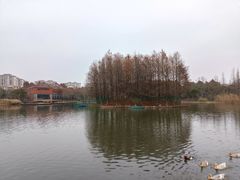 -上海长兴岛郊野公园