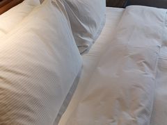 -北京东三环希尔顿逸林酒店