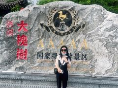 -大槐树寻根祭祖园