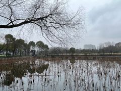 -鲁镇