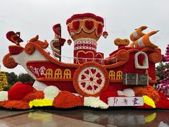 -荷兰花海