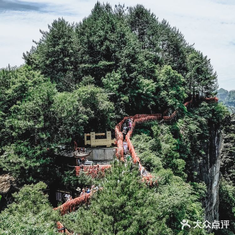 张家界国家森林公园·零基础上手轻松玩转😁