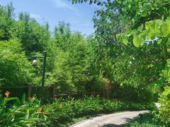 -达叔香味海鲜(海棠68环球美食街店)