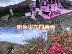 -大围山国家森林公园