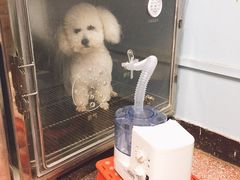 -北京博爱动物医院有限公司