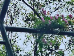 -渤公岛生态公园