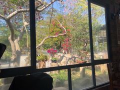 -罗浮山·罗园农庄