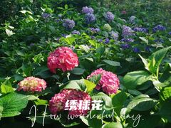 -临平公园(临平街道)
