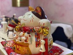 -爱尔乐美孕产瑜伽·普拉提
