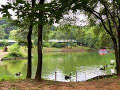 -沈阳森林动物园