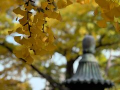 -红螺寺