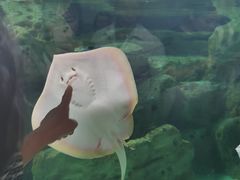 -珠海长隆海洋王国