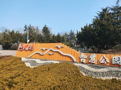 -燕儿岛山公园