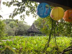 -上海醉白池公园