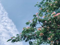 -晋祠宾馆