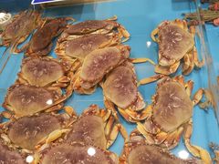 -双井轩(双井店)