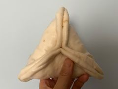 糖三角-天泽祥·鼓楼馒头(鼓楼店)