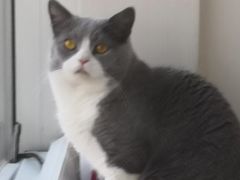 -Catmate·猫肥家润(金润铂宫店)