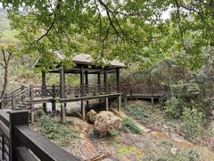 -白马涧龙池景区