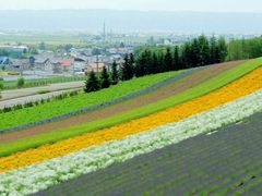 -富田农场