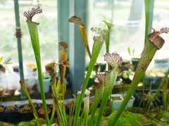 -国家植物园南园