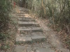 -水濂山森林公园