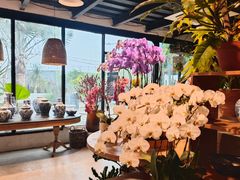-自由生长植物工作室(深港花卉中心店)