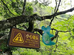 -天燕原始生态旅游区-天门垭景区