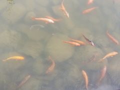-水底山庄园温泉