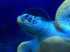 -多彩贵州城极地海洋世界