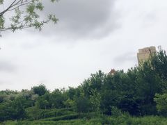 -小绿谷公园