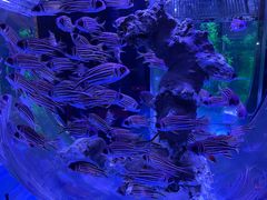 -海合安青岛极地海洋公园