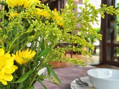-Dash Teak House