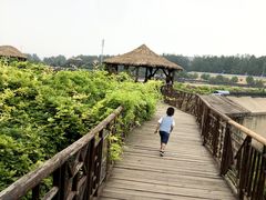 -呀路古热带植物园