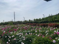 -西海岸生态观光园